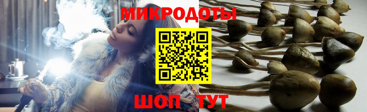 Котельники  Псилоцибиновые грибы ЛСД  Вход с VPN 